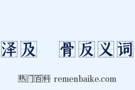 泽及髊骨反义词是什么意思的图片